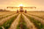 2025 North American Agriculture: Trends, Challenges, and Opportunities